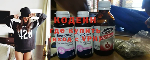индика Балабаново