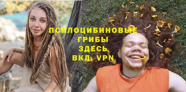 марки nbome Белокуриха