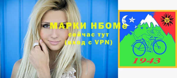 индика Балахна