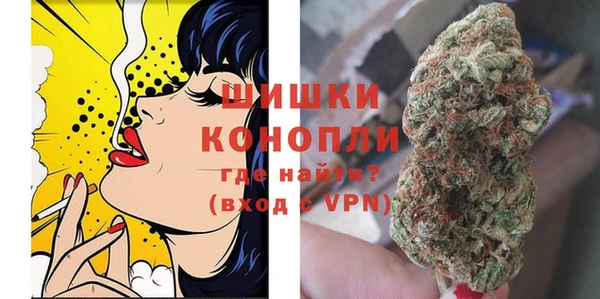 хмурый Пересвет