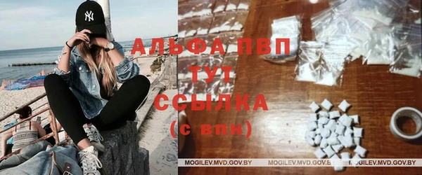 индика Балахна