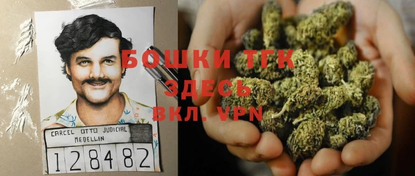 индика Балабаново
