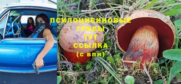 винт Белоозёрский