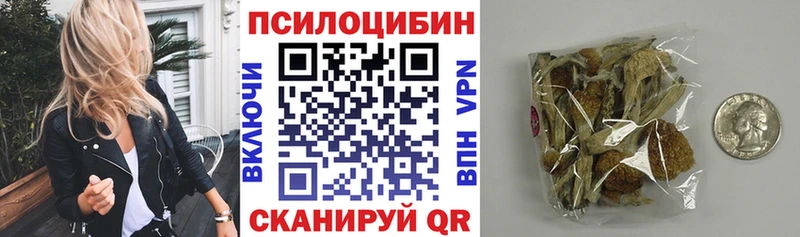 Галлюциногенные грибы Psilocybe  Свободный 